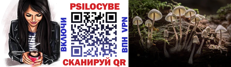 omg маркетплейс  Печоры  Галлюциногенные грибы GOLDEN TEACHER 